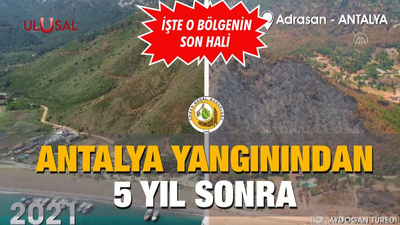 Antalya yangınından 5 yıl sonra: İşte o bölgenin son hali